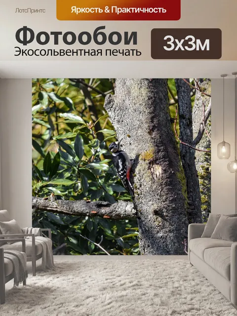 Фотообои Животное