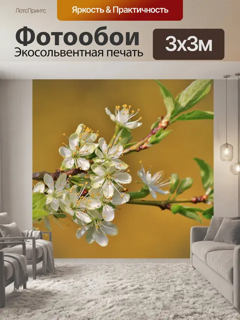 Фотообои Цветущая ветка