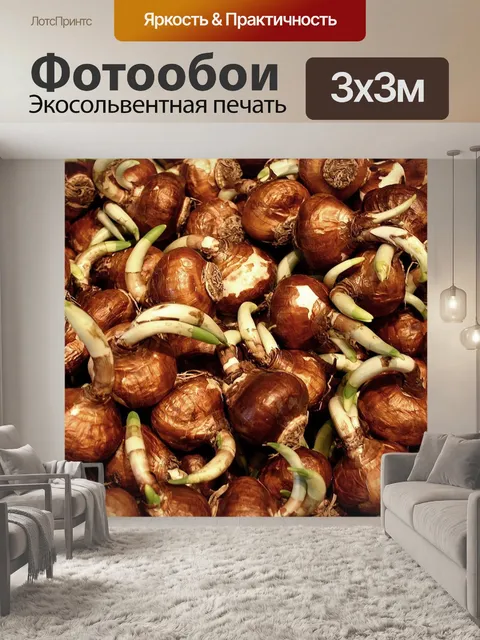 Фотообои Цветы