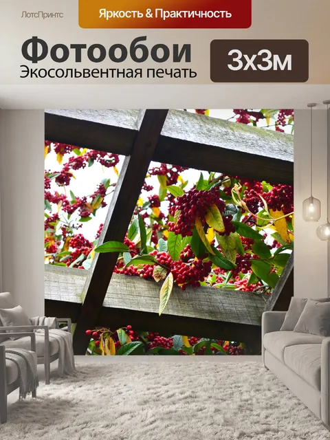 Фотообои Firethorn Pyracantha Ягоды