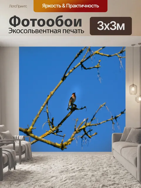 Фотообои Птица