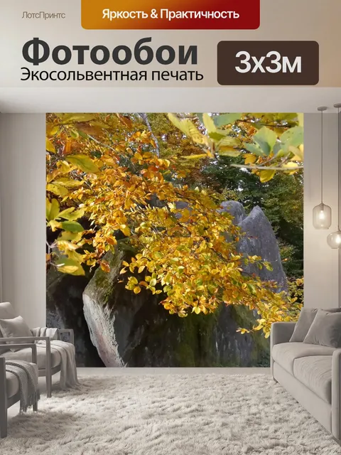 Фотообои Палатинат