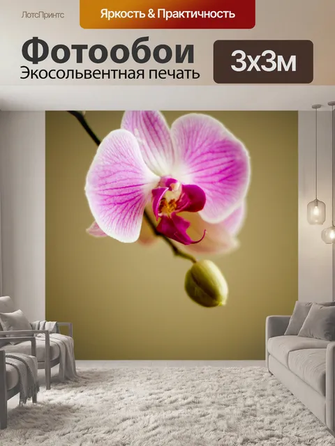 Фотообои Орхидея