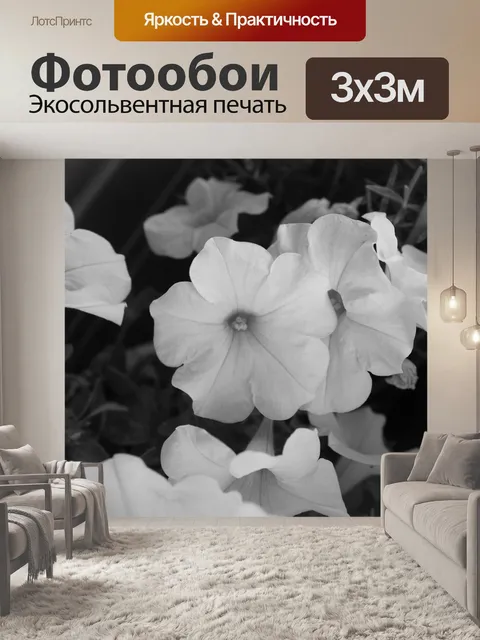 Фотообои Цветы