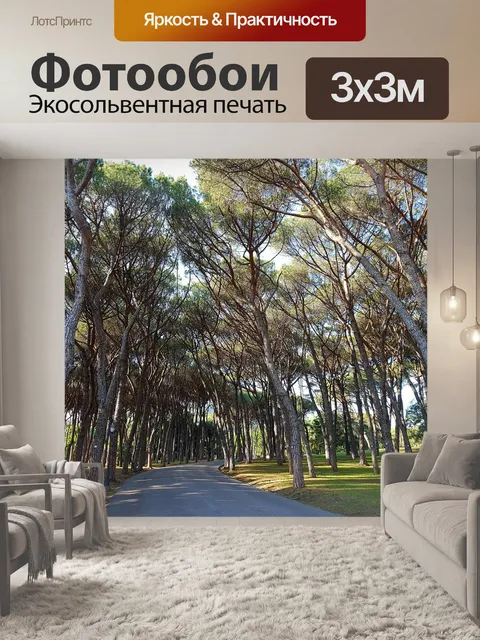 Фотообои Сосны