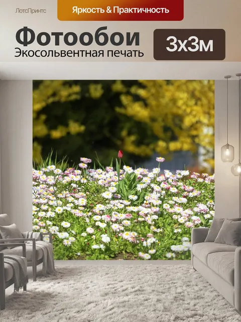 Фотообои Цветы
