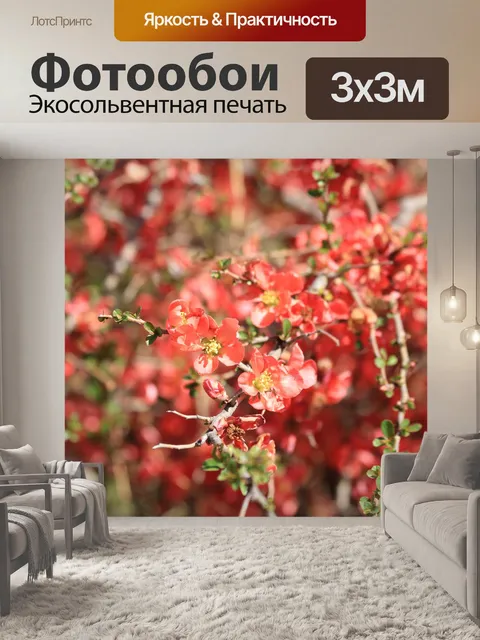 Фотообои Весна оранжевого дерева весной