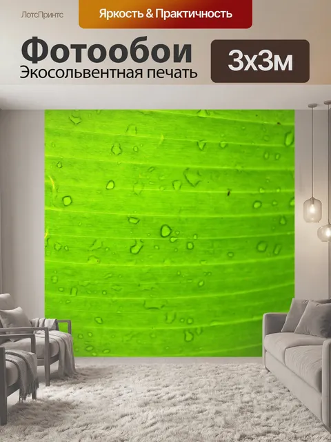 Фотообои Зеленый лист банан