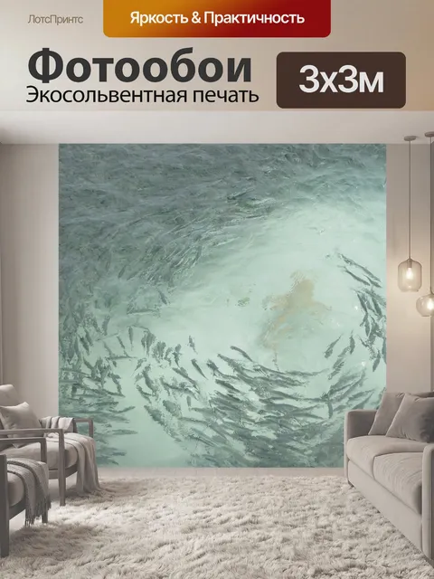 Фотообои Школа