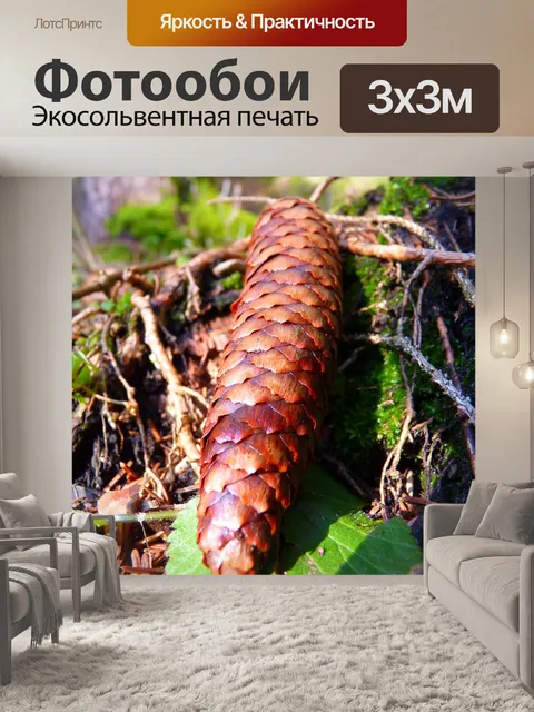 Фотообои Еловые шишки