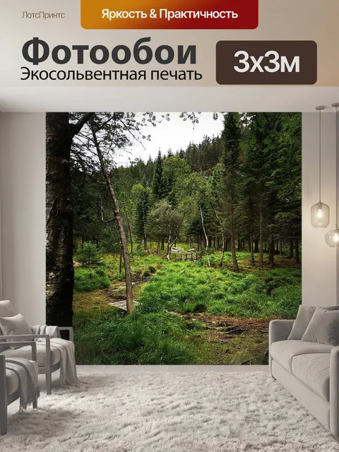 Фотообои Лес