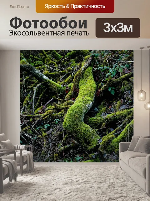 Фотообои Мох