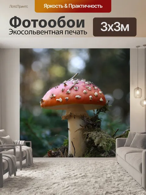 Фотообои Гриб