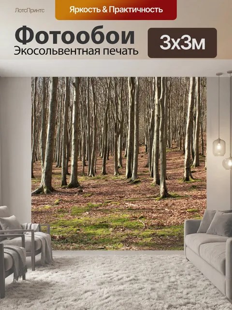 Фотообои Открытый