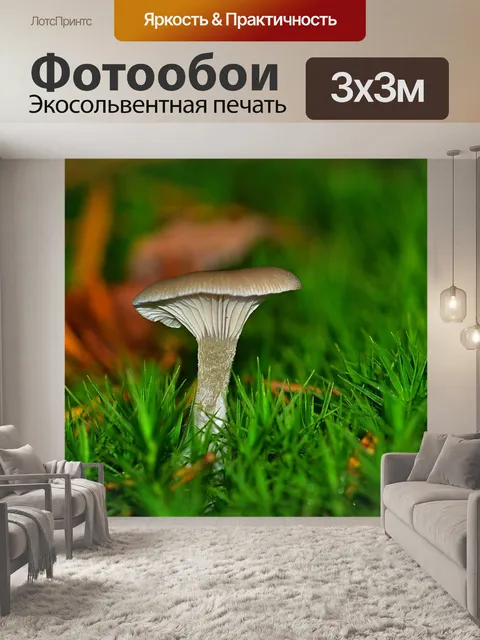 Фотообои Лес