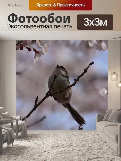 Фотообои Животное