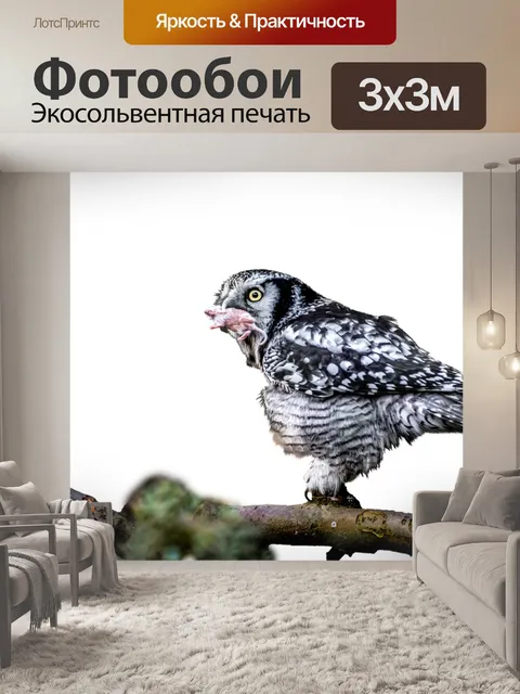 Фотообои Сова