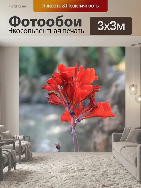 Фотообои Цветок