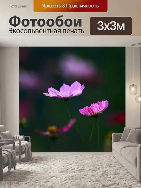 Фотообои Космос