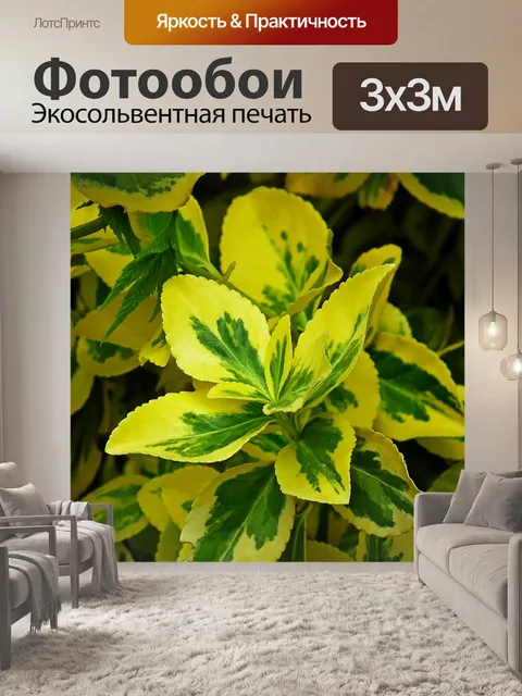 Фотообои Листья