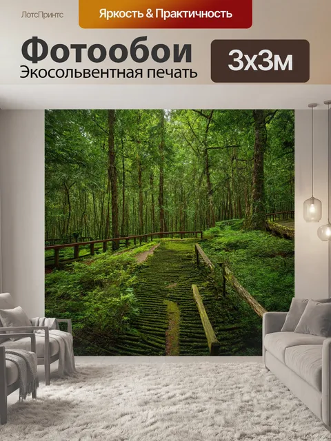 Фотообои лес с обширными смотровыми площадками, открывающими панорамы