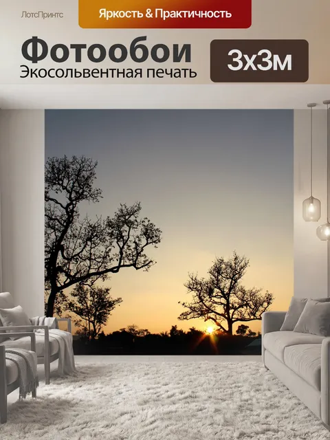 Фотообои Силуэт дерева в природе