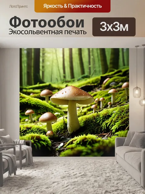 Фотообои в густом лесном заказнике, обрамлённом мхи и листвой, растут свежие шампиньоны под ярким солнечным светом
