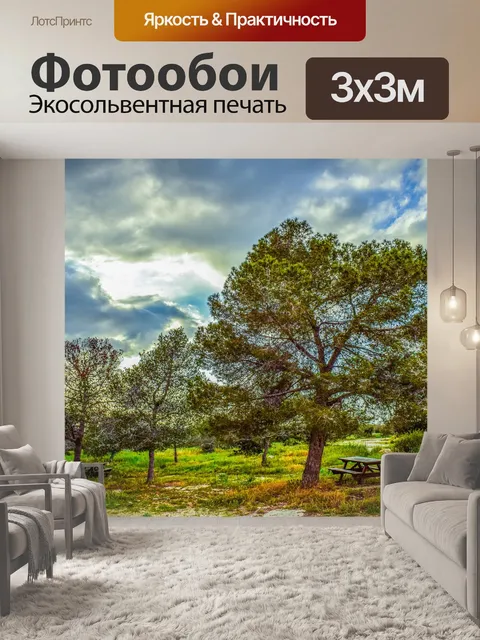 Фотообои Роща