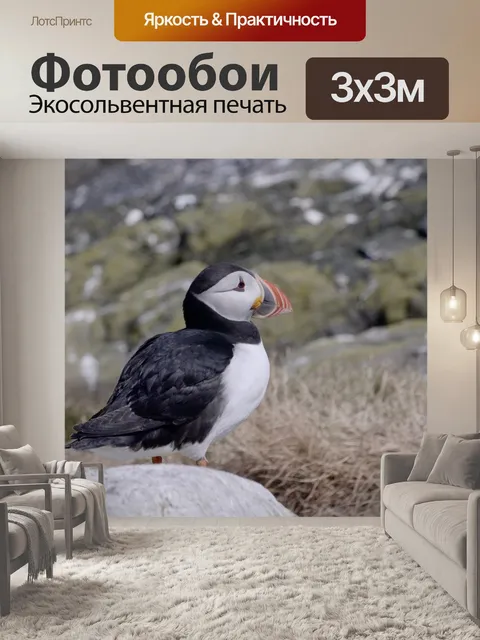Фотообои Птицы