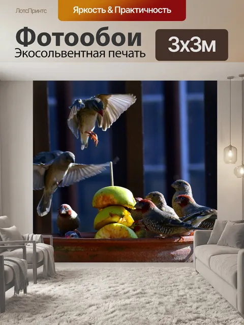 Фотообои Птицы