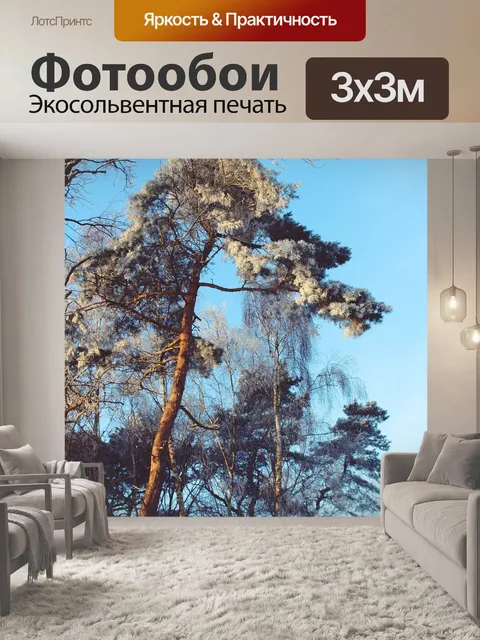 Фотообои Зимний пейзаж
