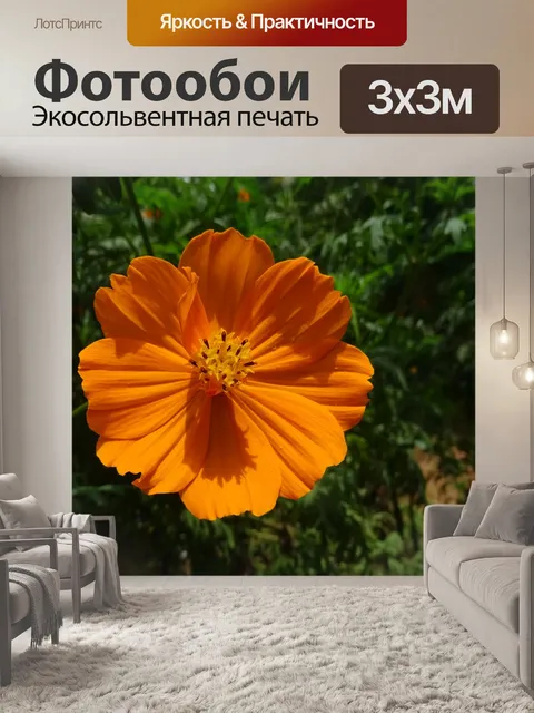 Фотообои Космос