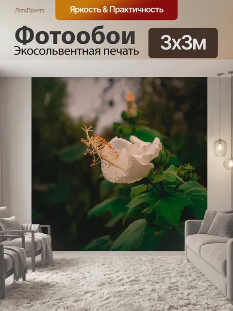 Фотообои Цветок