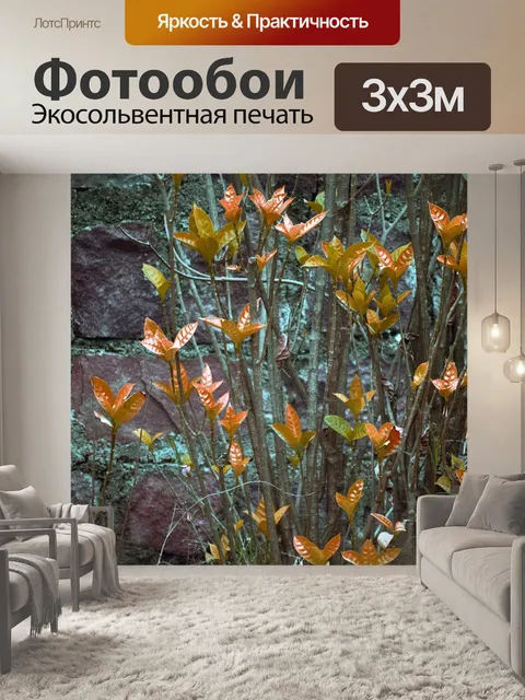 Фотообои Растительные листья 3