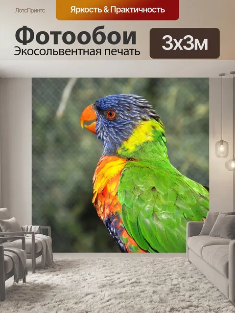 Фотообои Птицы