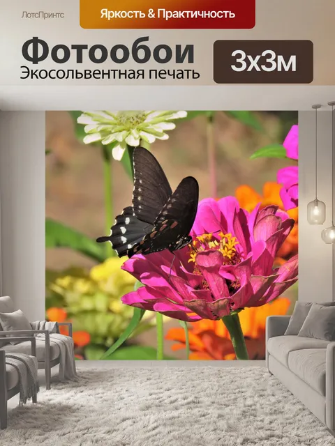 Фотообои Бабочка