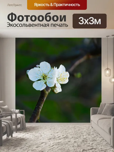 Фотообои Вишня