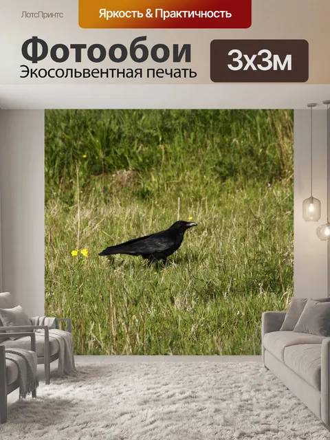 Фотообои Фон