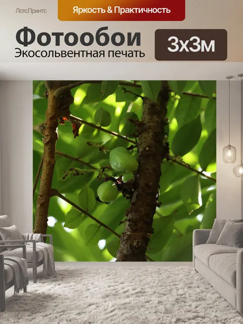 Фотообои Фрукты