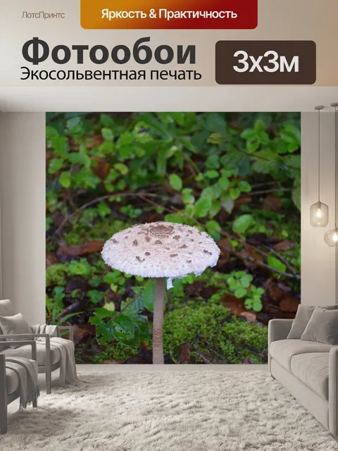 Фотообои Зонтик