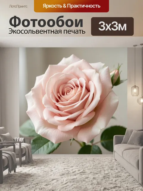 Фотообои Нежная розовая роза крупным планом