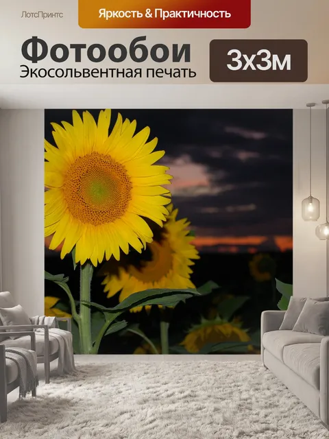 Фотообои Подсолнечник