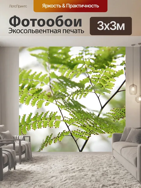 Фотообои Природа