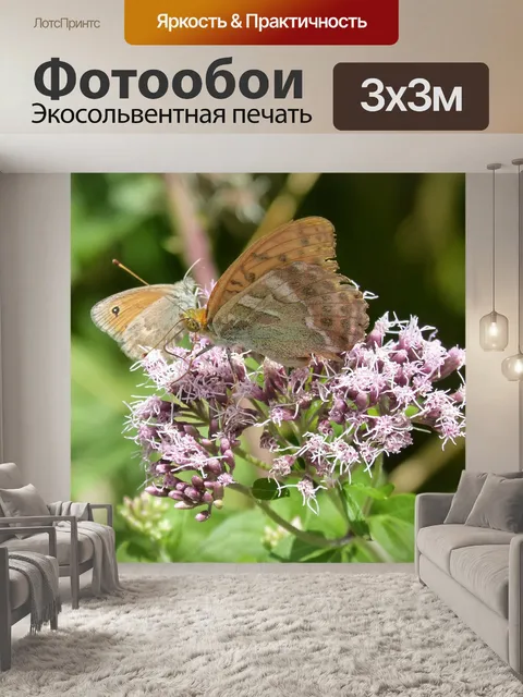 Фотообои Бабочки