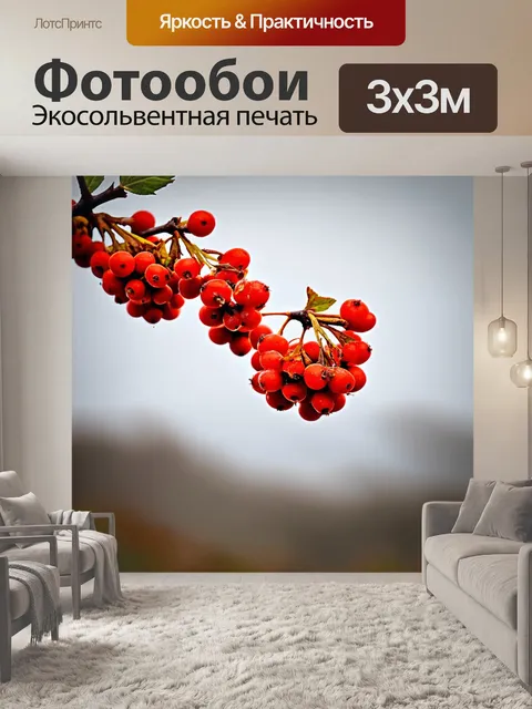 Фотообои веточка рябины с ягодами, снятая в формате панорамы, где ягоды ярко выделяются на фоне серой небосвод
