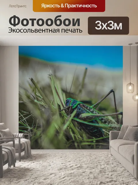 Фотообои Цветы