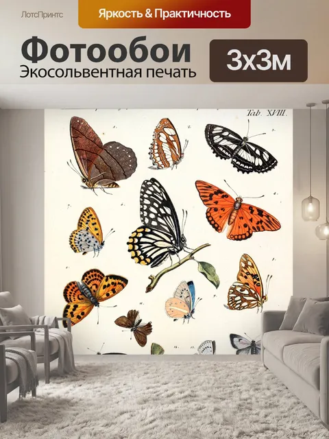 Фотообои Папийон бабочка винтаж старый