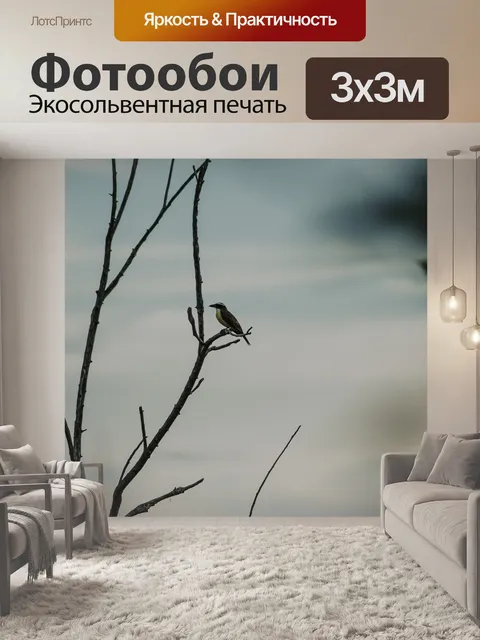 Фотообои Птицы