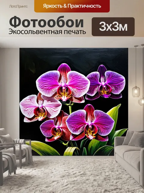 Фотообои группировка различных орхидей, представленных в деталях с фокусом на текстуре лепестков и яркости