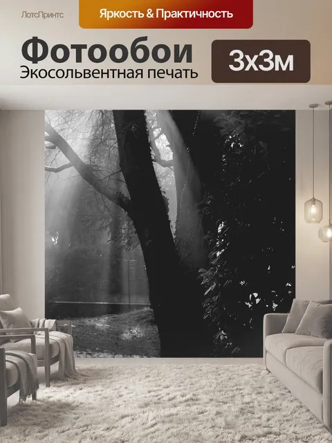 Фотообои Деревья